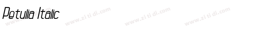 Petulia Italic字体转换